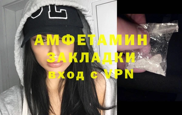 стаф Алзамай