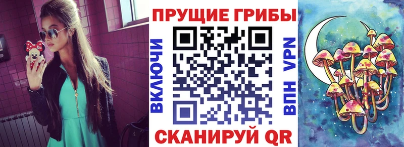 Купить Новоржев Псилоцибиновые грибы GOLDEN TEACHER